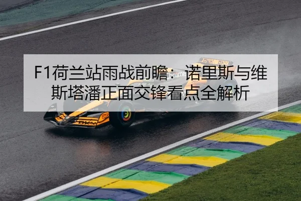 F1荷兰站雨战前瞻：诺里斯与维斯塔潘正面交锋看点全解析