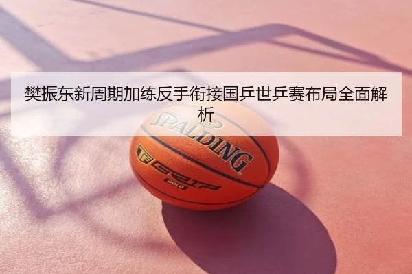 樊振东新周期加练反手衔接国乒世乒赛布局全面解析